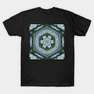 Abstract Sci-fi bio-tech Kaleidoscope pattern (Seamless) 14 T-Shirt